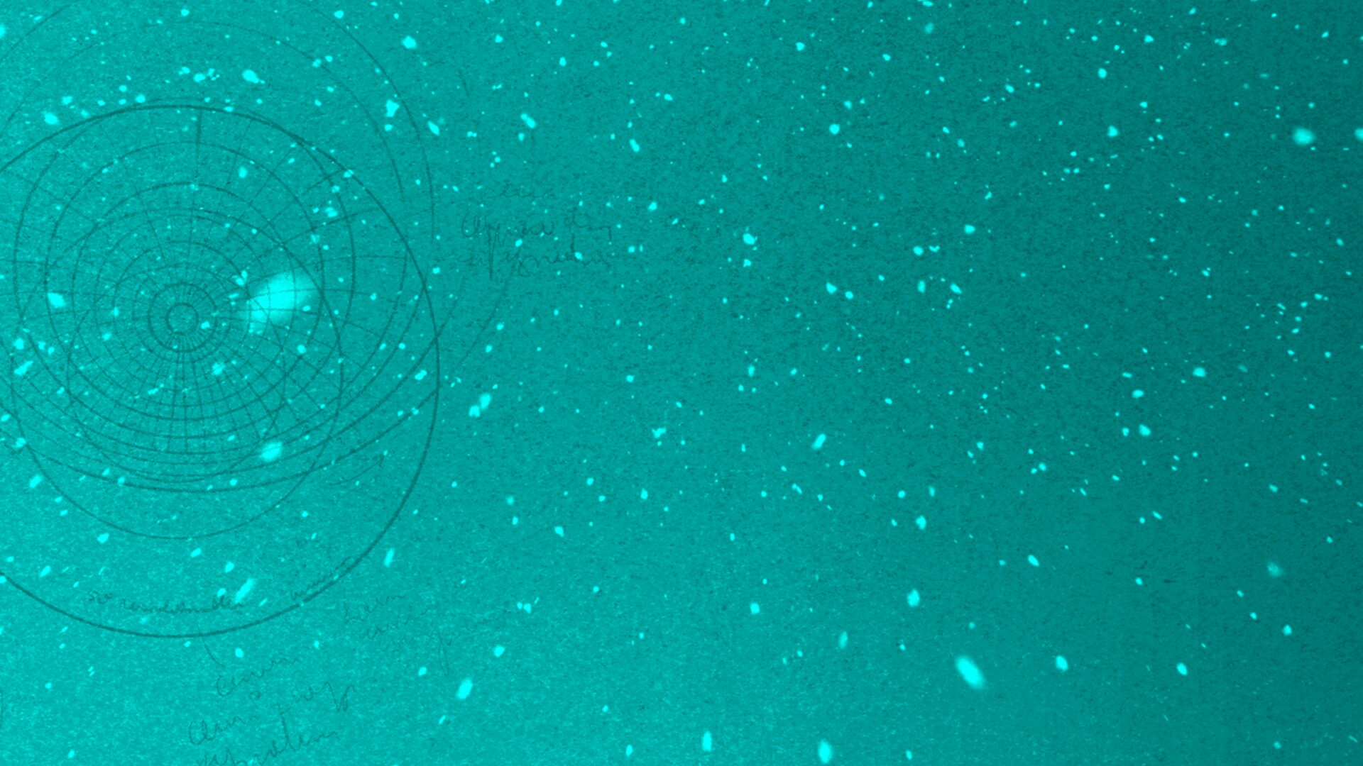 We Were Here Series Bundle