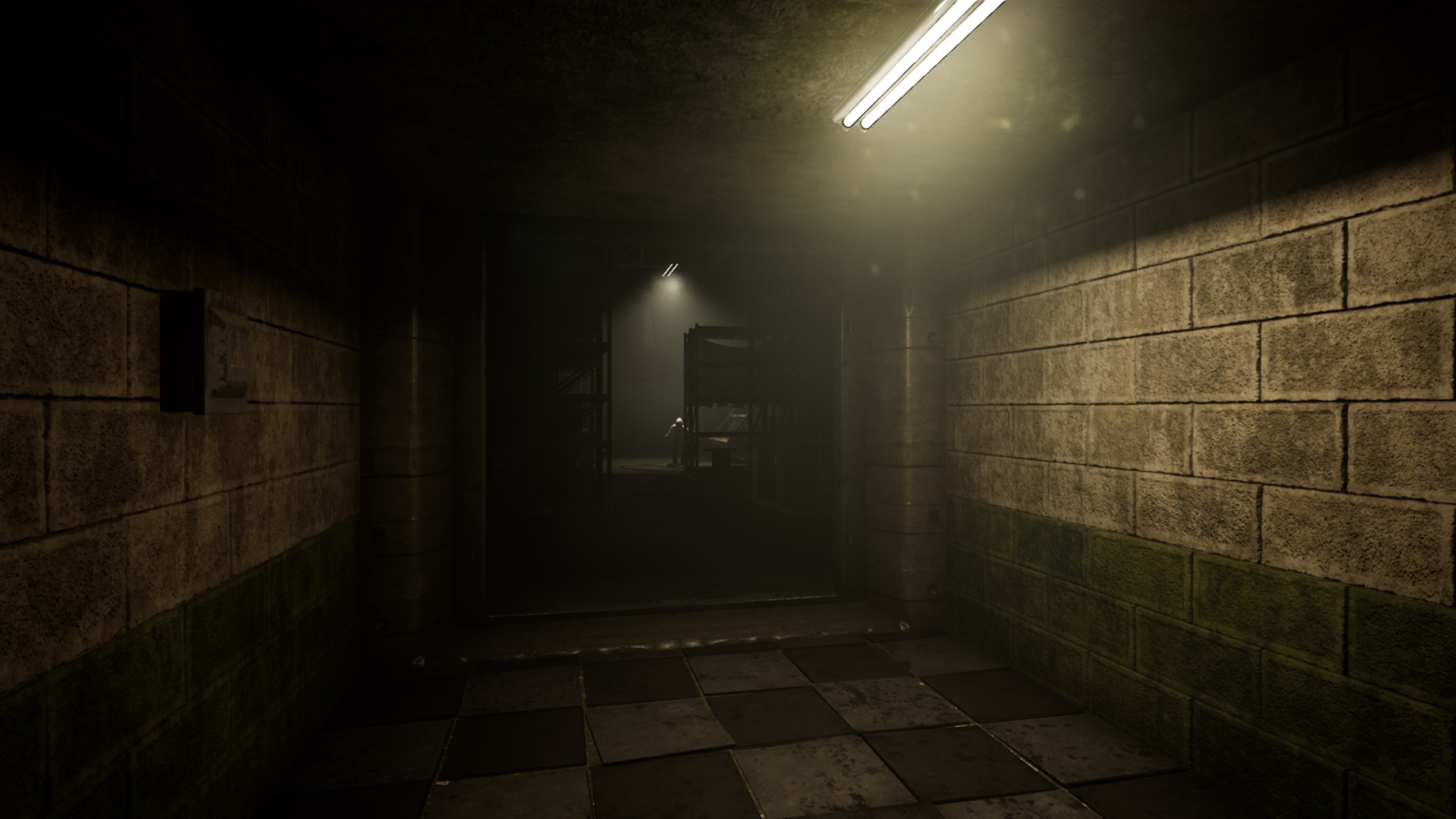 #9. Slender: The Arrival (PlayStation) Podle: Blue Isle Studios