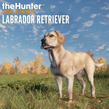 theHunter: Call of the Wild™ - Labrador Retriever
