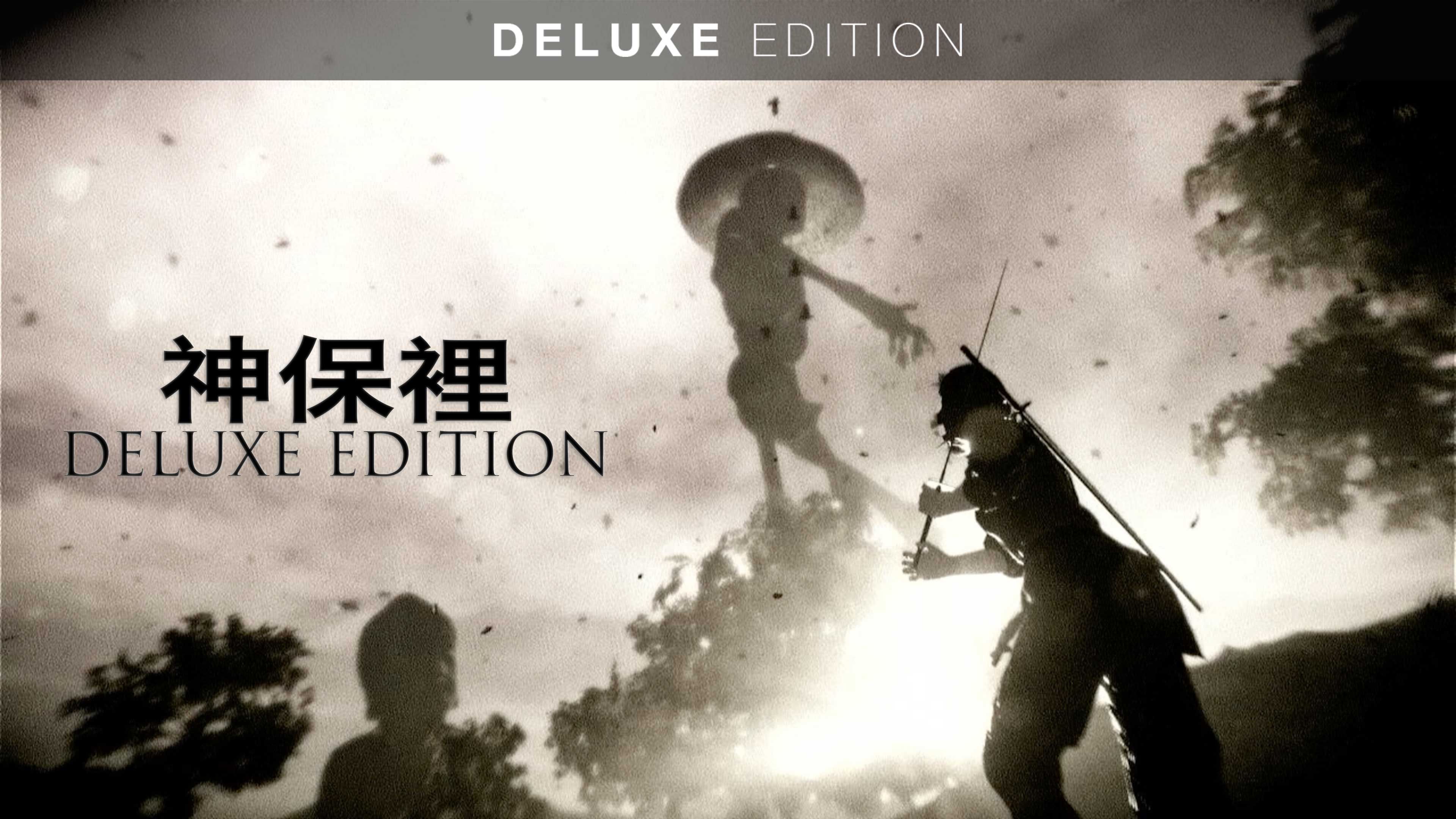 豪華版
