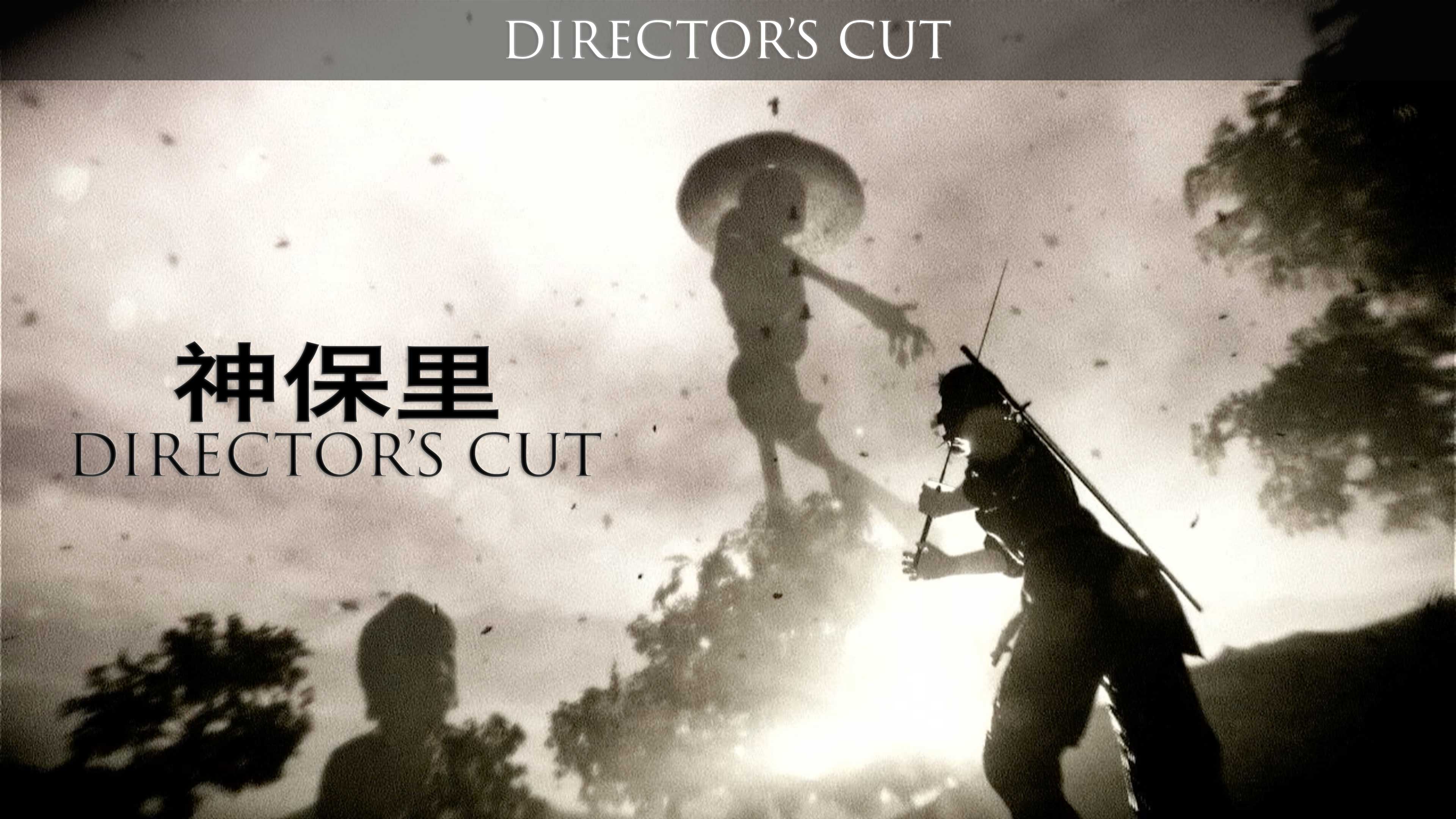 导演剪辑版