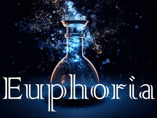 Euphoria for playstation