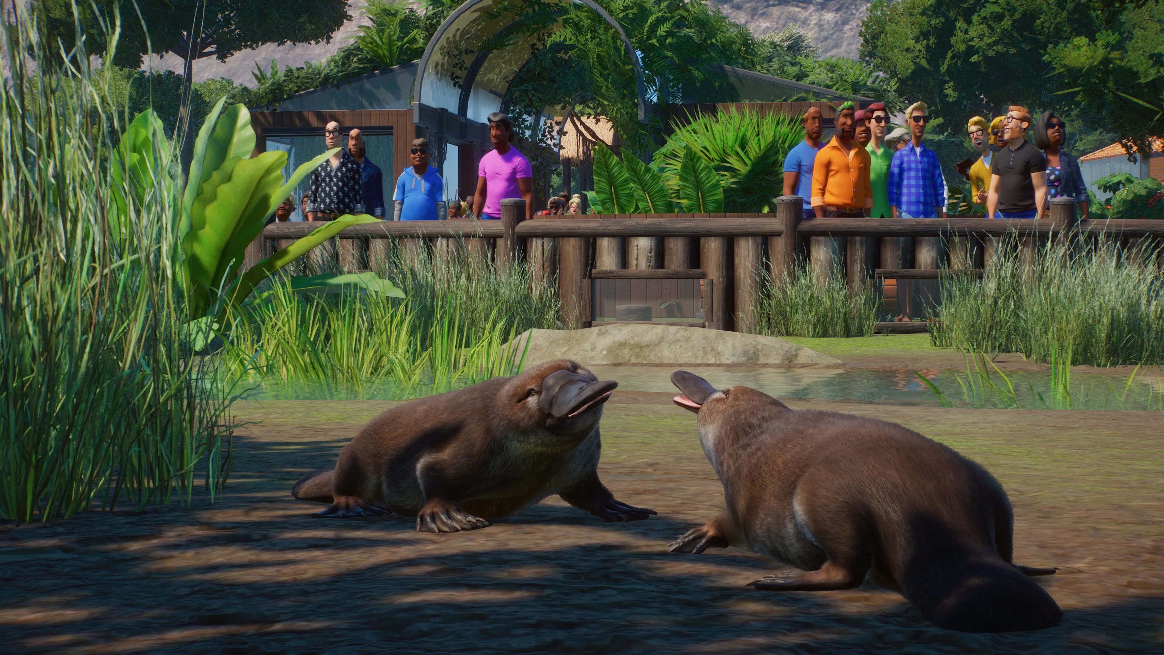 Planet Zoo: Deluxe Upgrade Pack Bundle