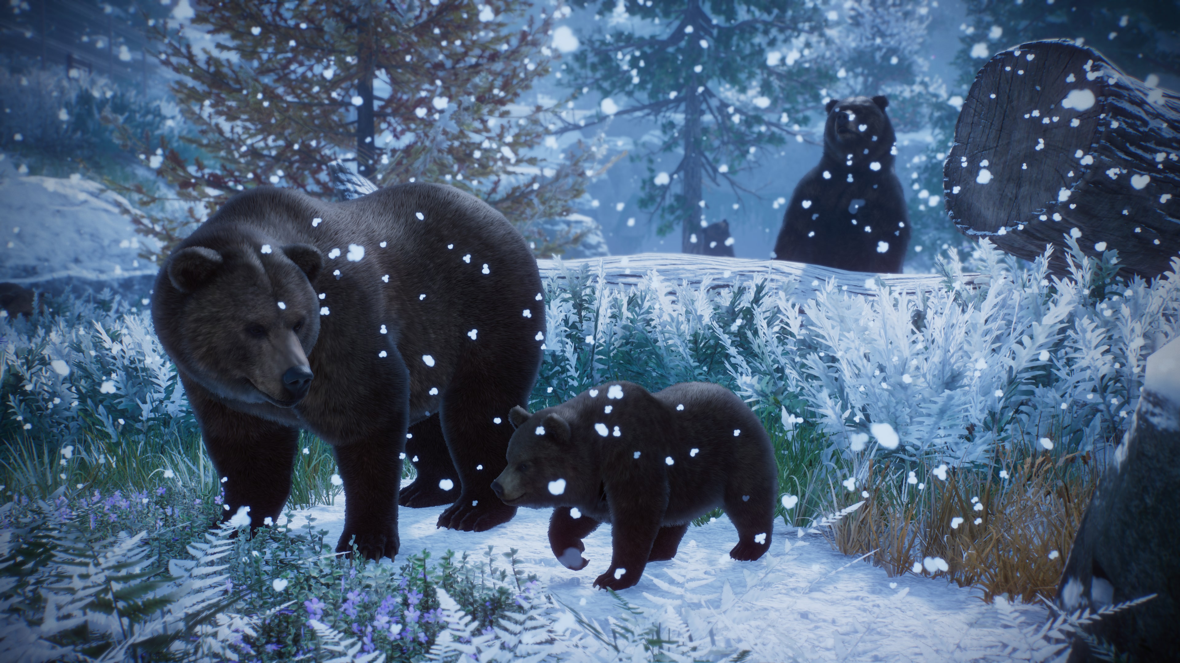 Planet Zoo: Deluxe Edition