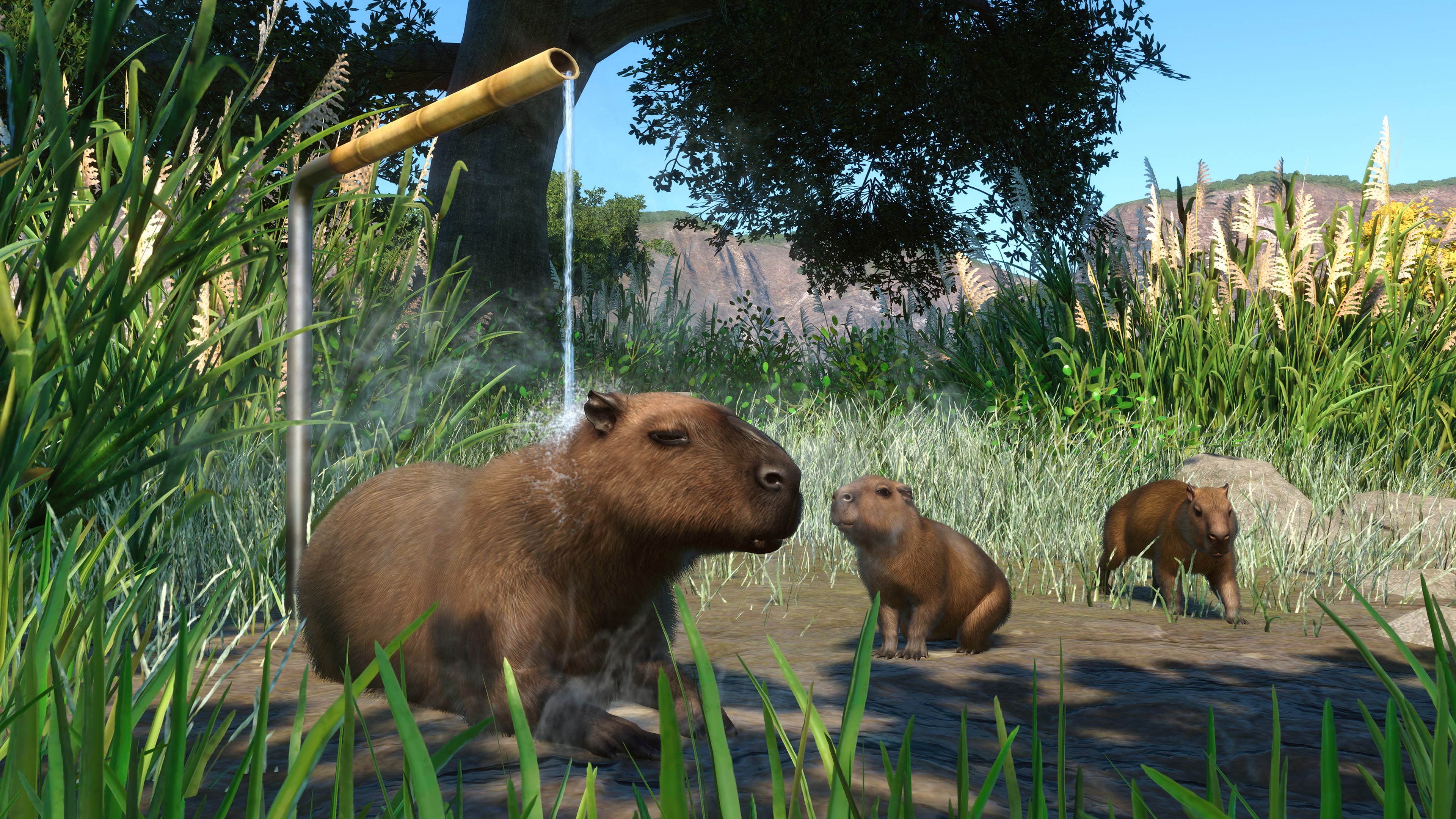 Planet zoo ps5. Planet Zoo: Wetlands animal Pack. Planet Zoo капибара. Капибара на рабочий стол. Планета зоопарк.