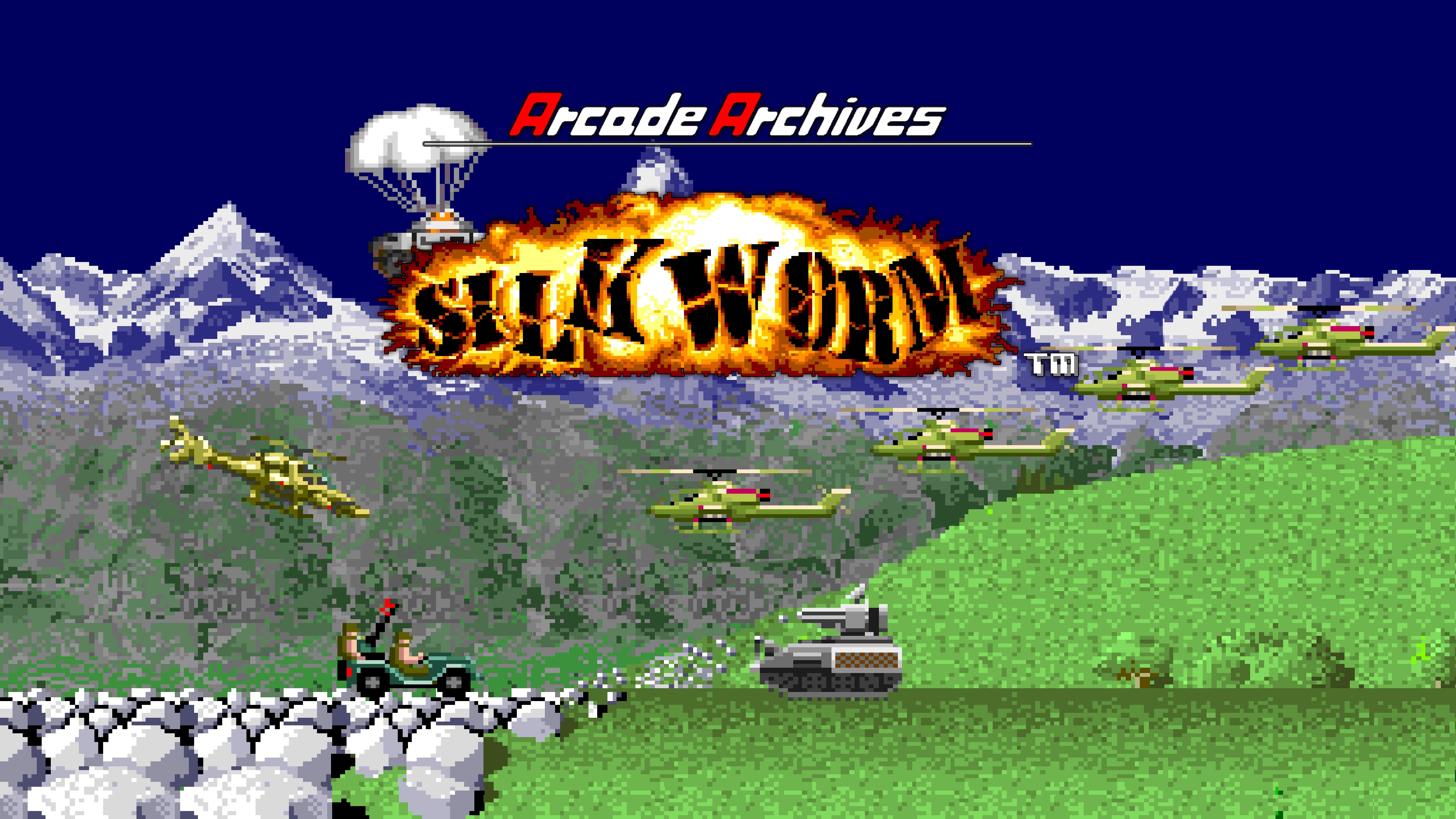 海外限定版 海外版 ファミコン シルクワーム SILK WORM NES