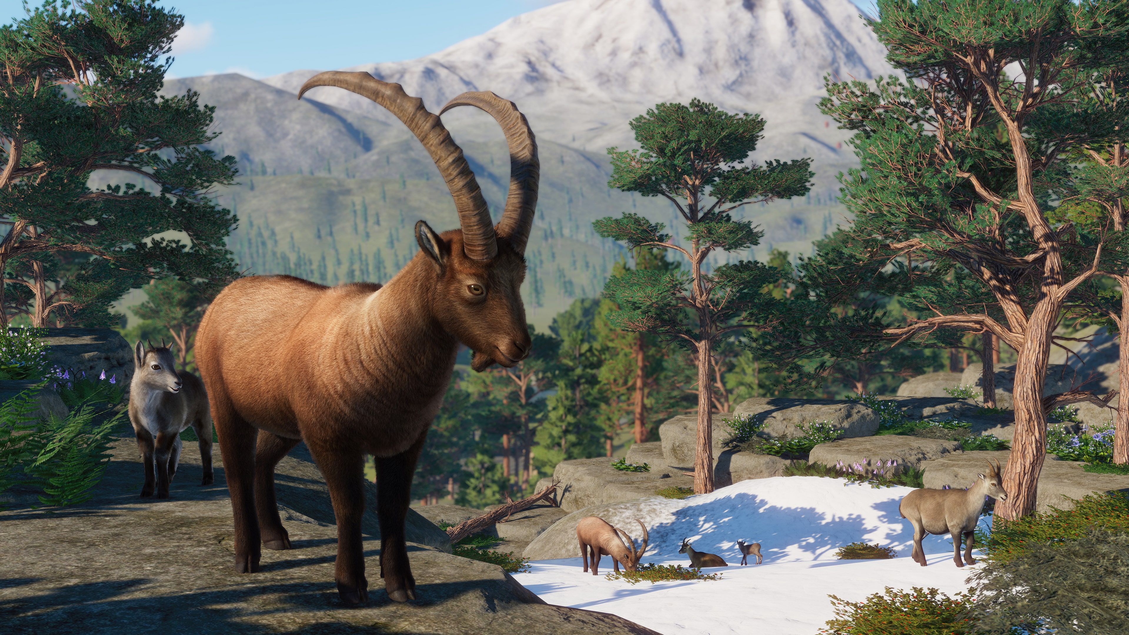 Planet zoo ps5. Planet Zoo Europe Pack. Planet Zoo DLC. Игра планет зоо на ПК. Planet Zoo Lynx.