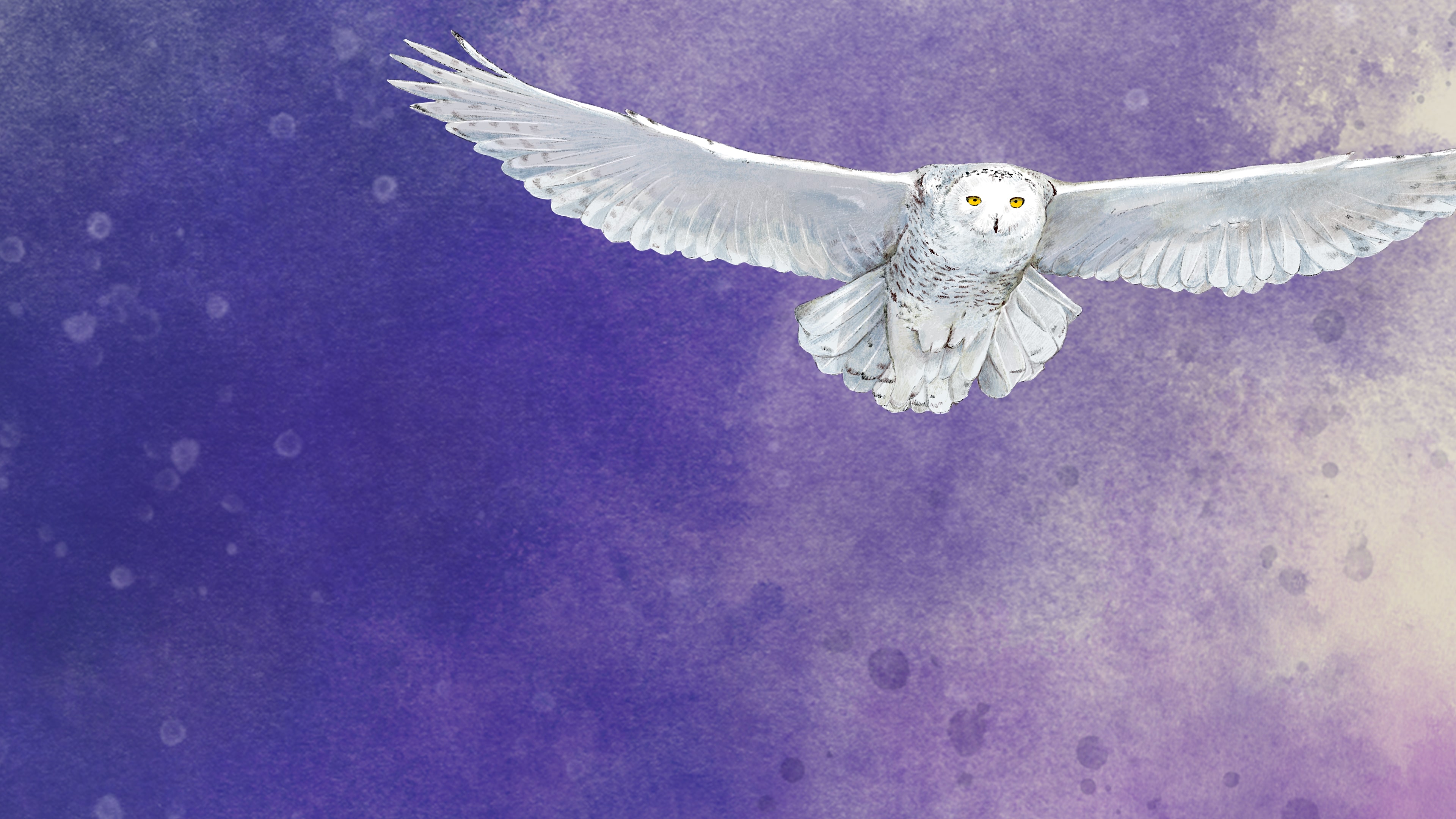 Wingspan: Espansione Europa PS4 & PS5