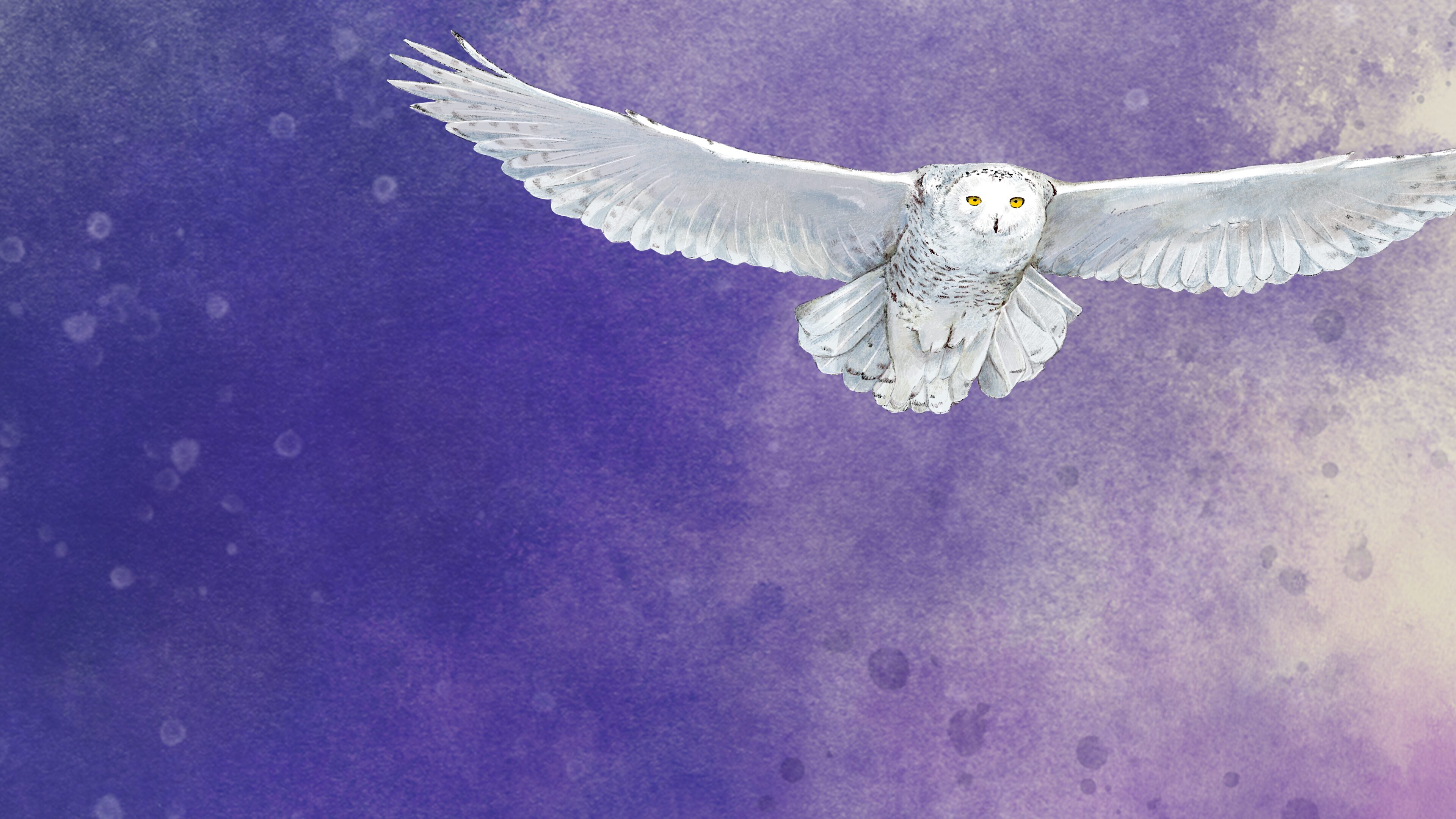 Wingspan: Expansión europea PS4 & PS5