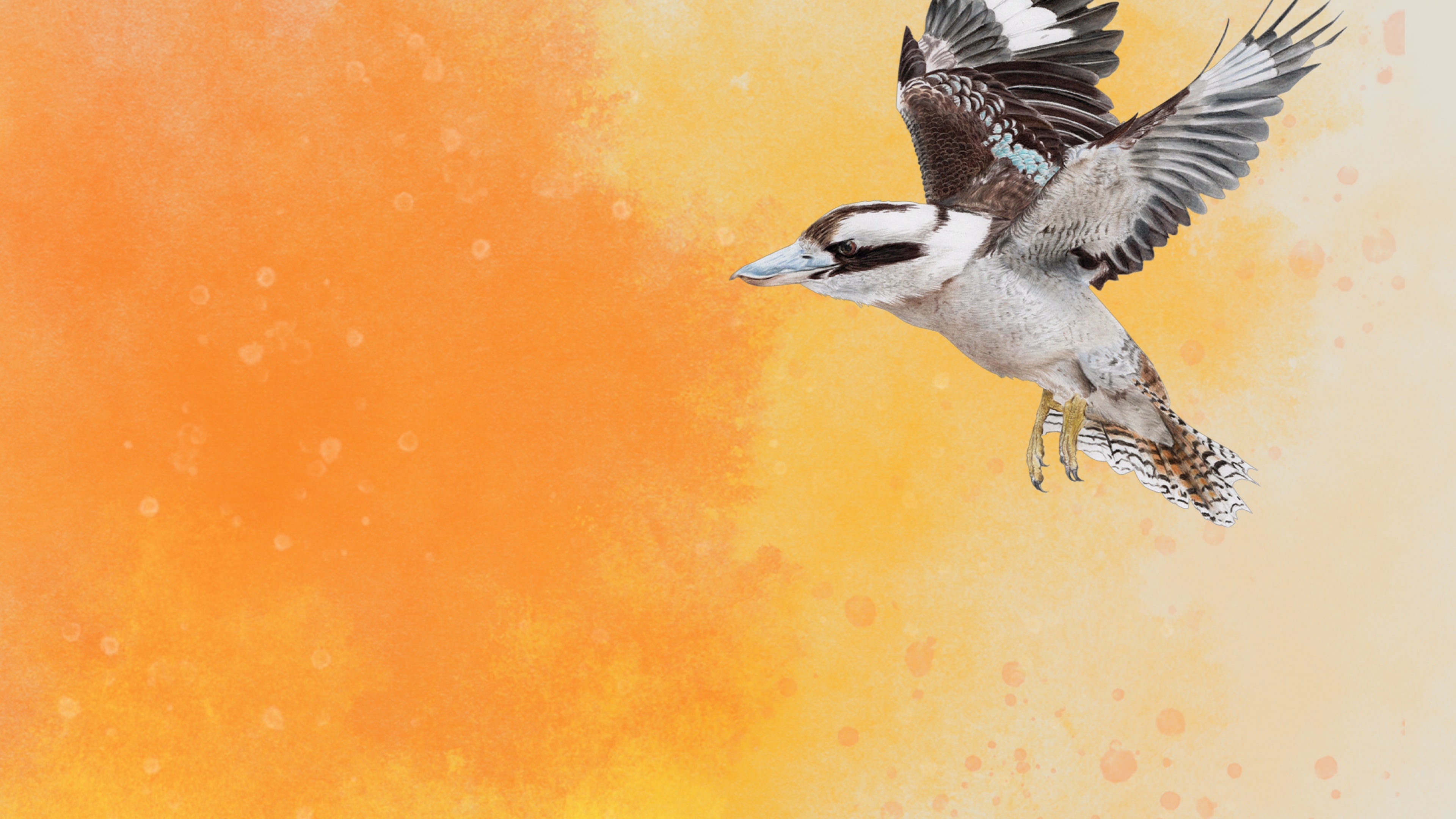Wingspan: Espansione Oceania PS4 & PS5