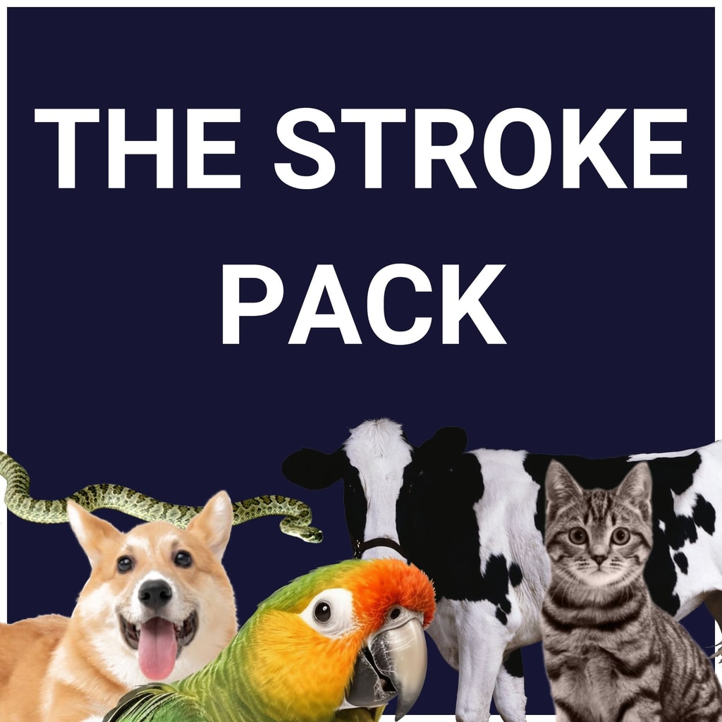 The Stroke Pack (English)