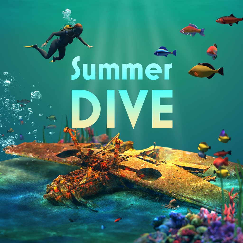 Puzzling Places: Summer Dive