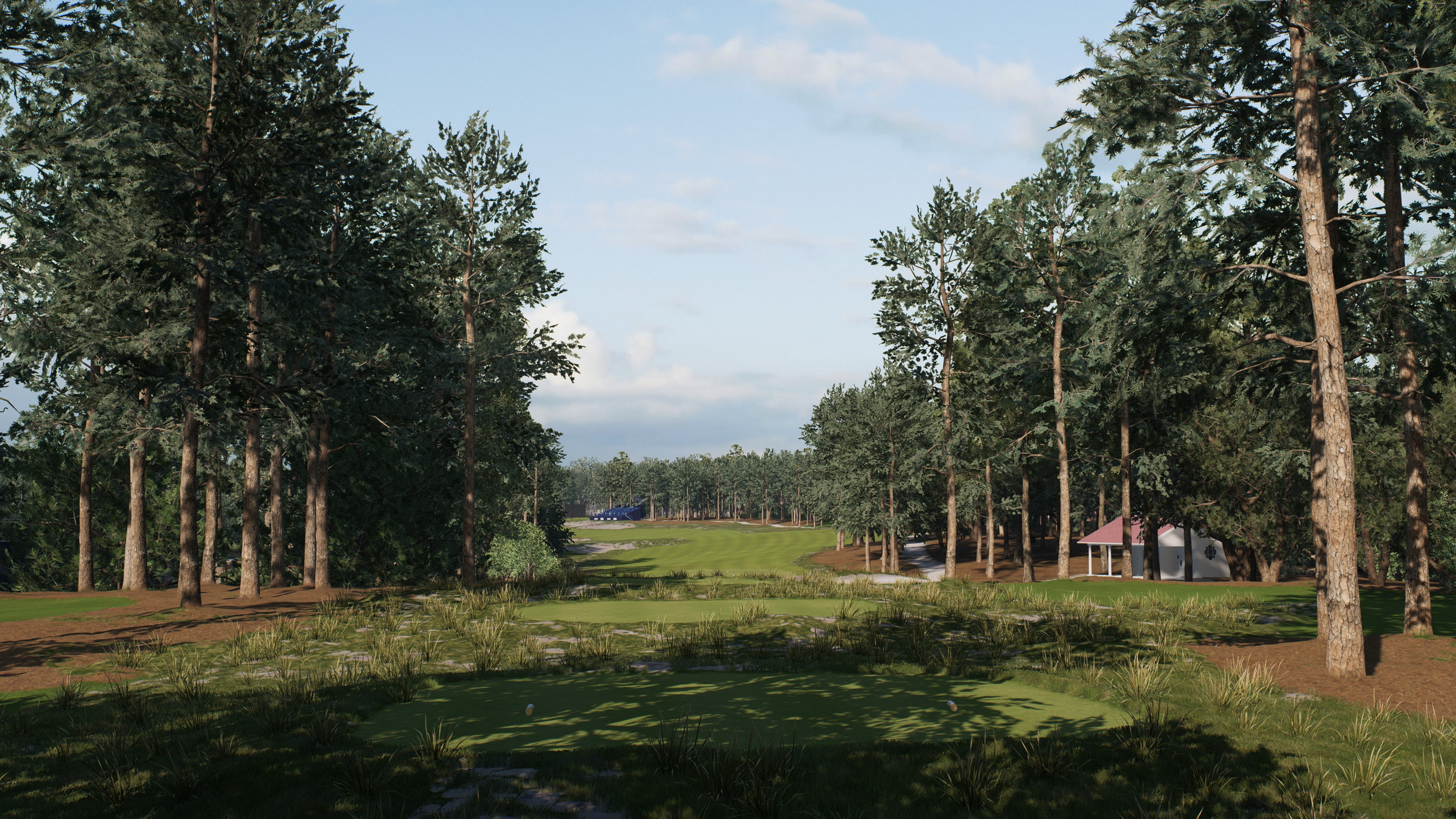 #3. EA SPORTS™ PGA TOUR™ Deluxe Edition (PlayStation) Door: Electronic Arts Inc