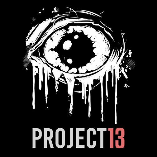 Project 13 cover image