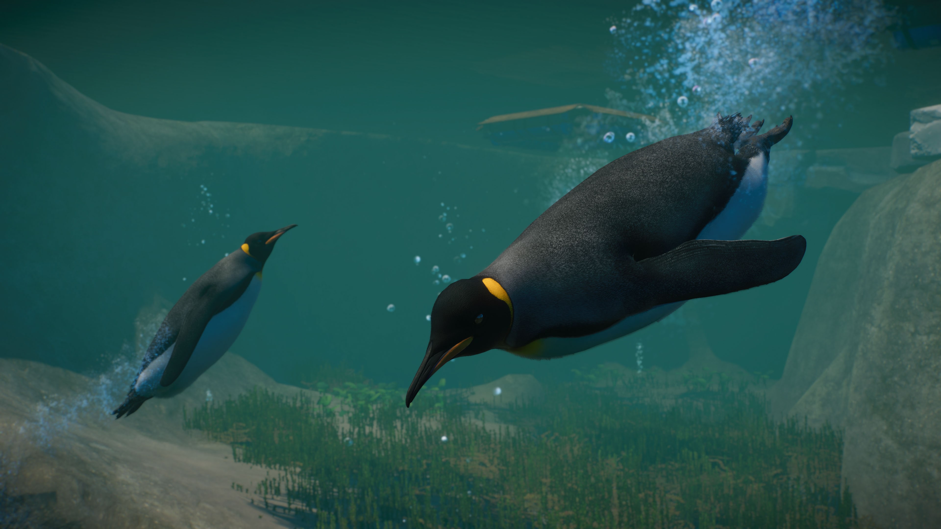 Planet Zoo: Aquatic & Twilight Bundle | Deku Deals