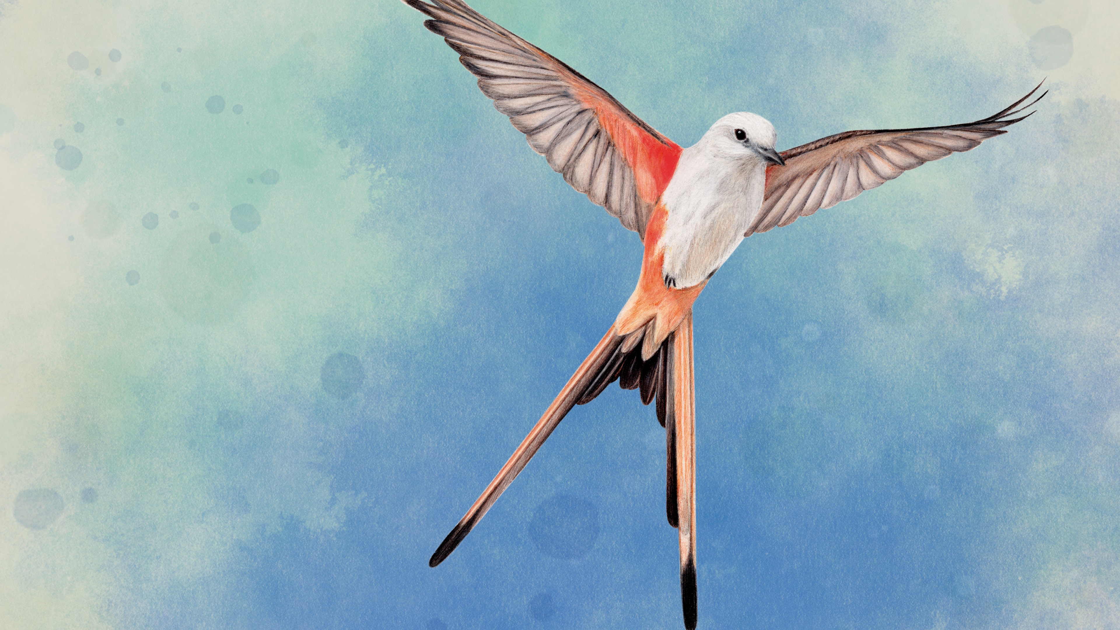 Wingspan (Крылья) PS4 & PS5