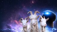 Goat Simulator 3 Multiverse Of Nonsense