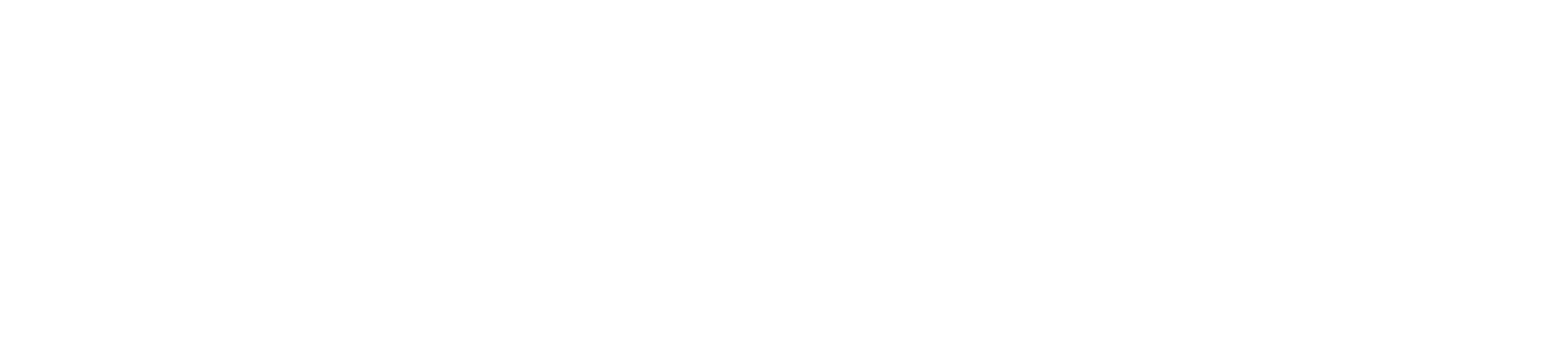 The First Descendant