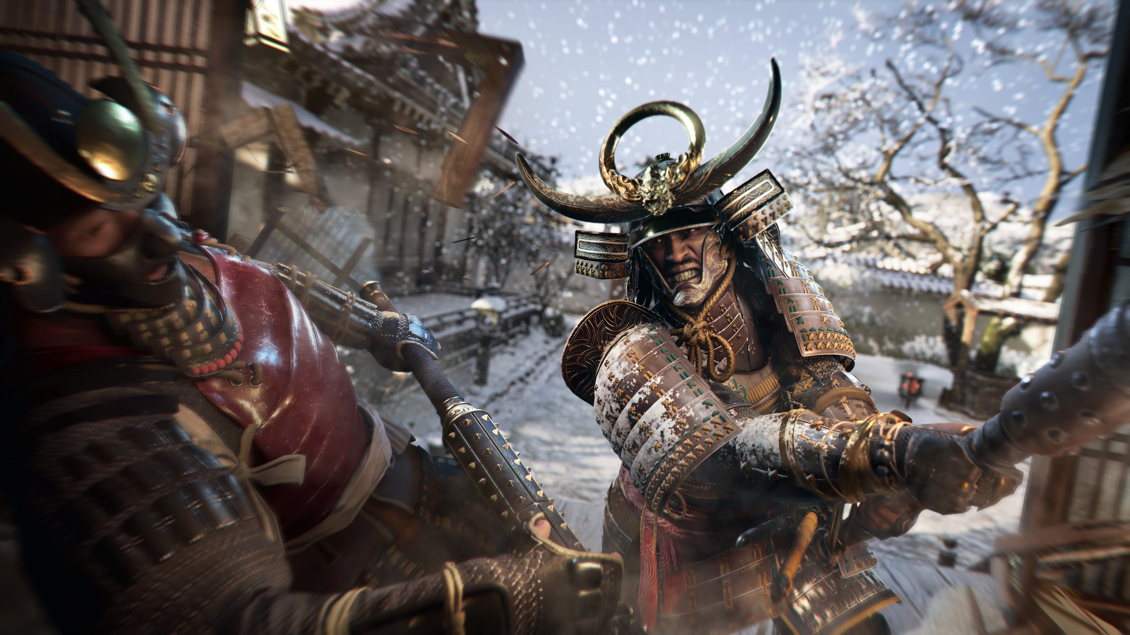 Amazon.co.jp: アサシン クリード シャドウズ スタンダード