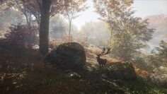 screenshot5