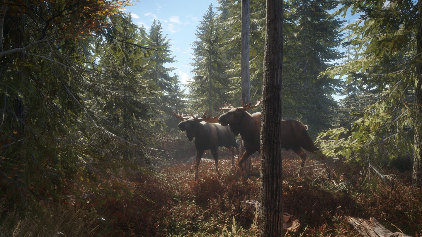 Full Size Image