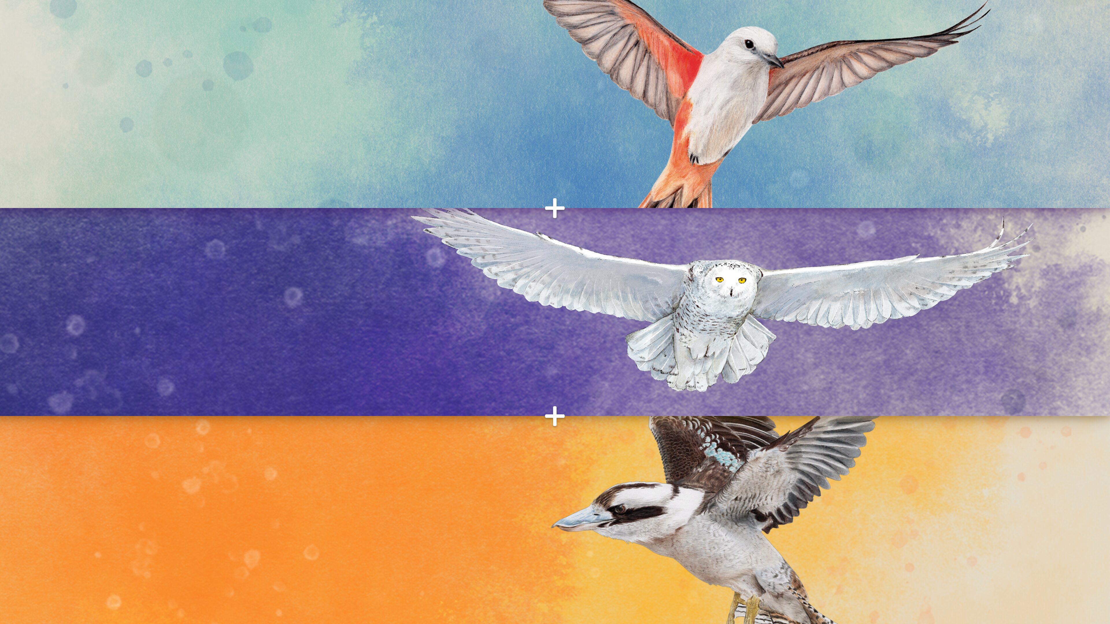 Wingspan + Espansione Europa + Espansione Oceania PS4 & PS5