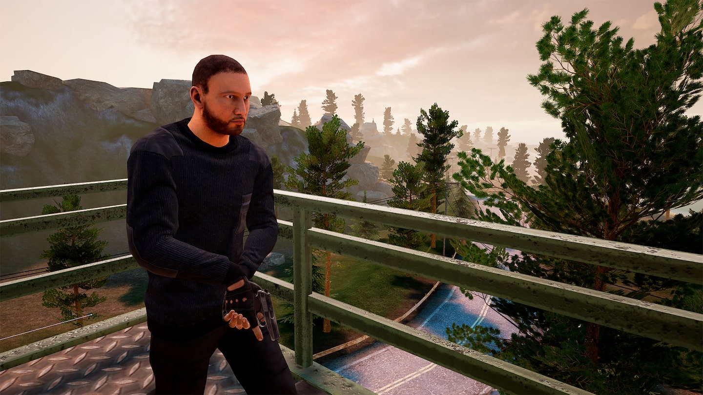 Full Size Image