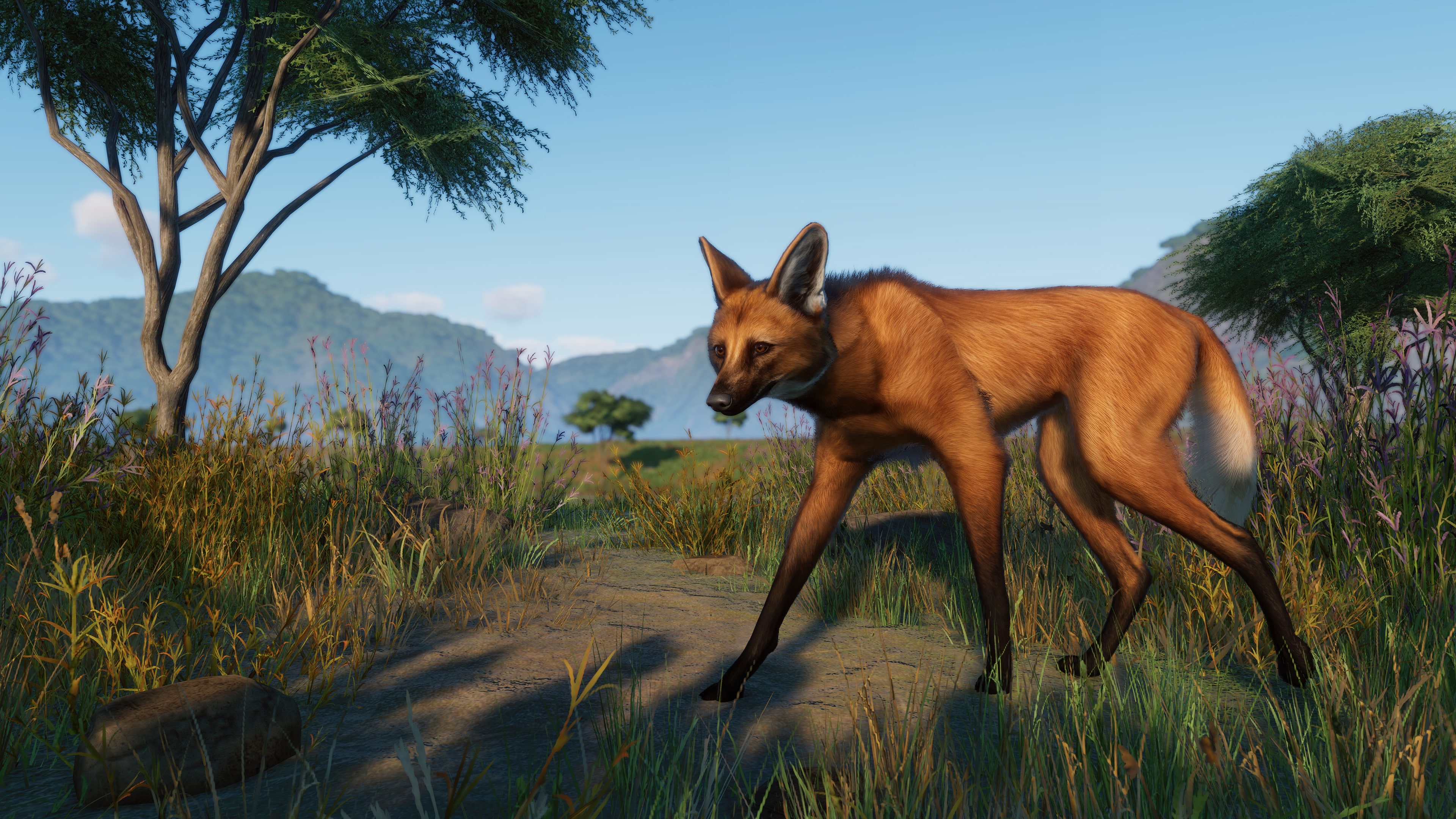 Planet Zoo: Grasslands & Africa Bundle