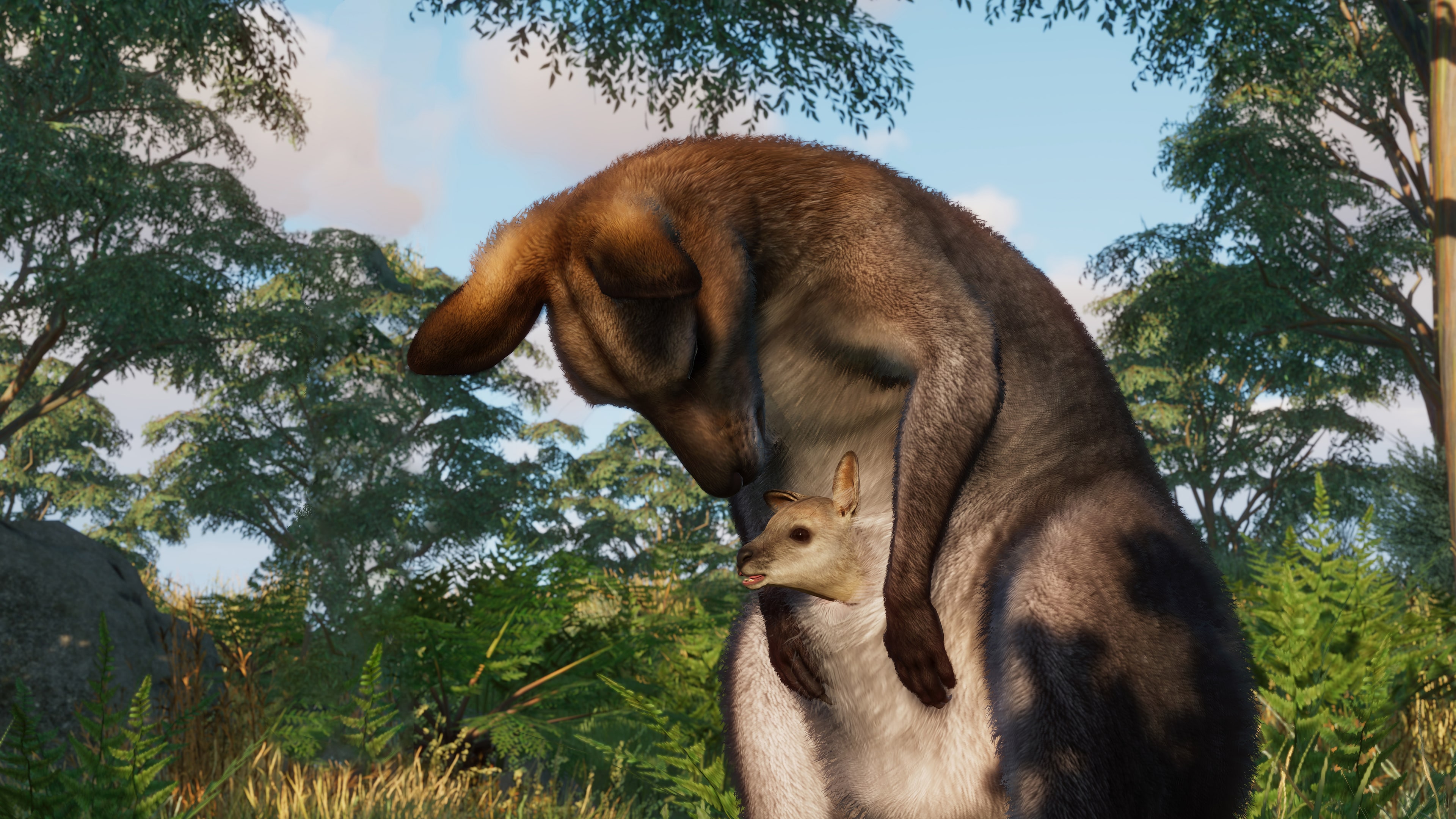 Plantation - プレステ5 Plantation - プレステ5 Plantationの家庭用ゲーム機本体