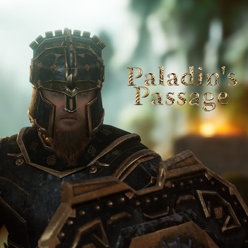 Paladin's Passage cover image