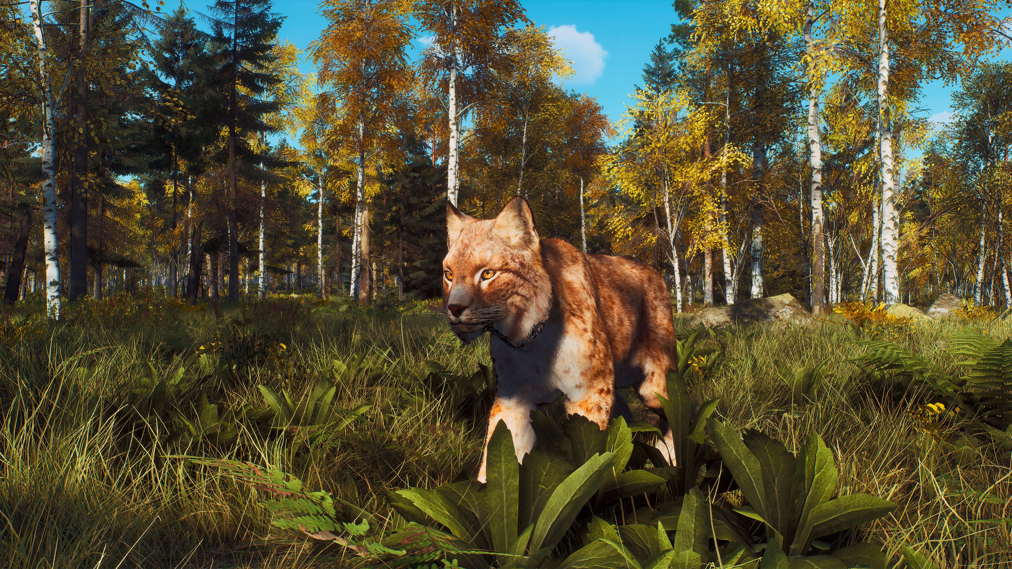 #9. Way of the Hunter - Ultimate Edition (PlayStation) 게시자: THQ Nordic