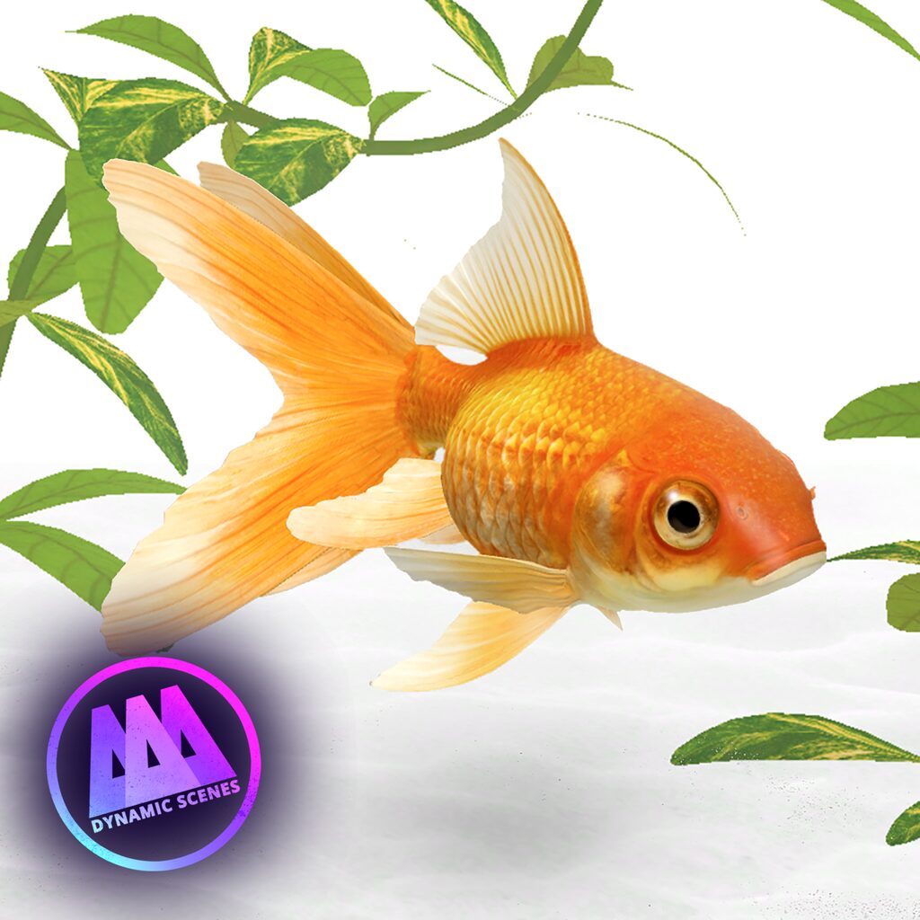 AAA Dynamic Scenes - Golden Fish Aquarium Dynamic Scene