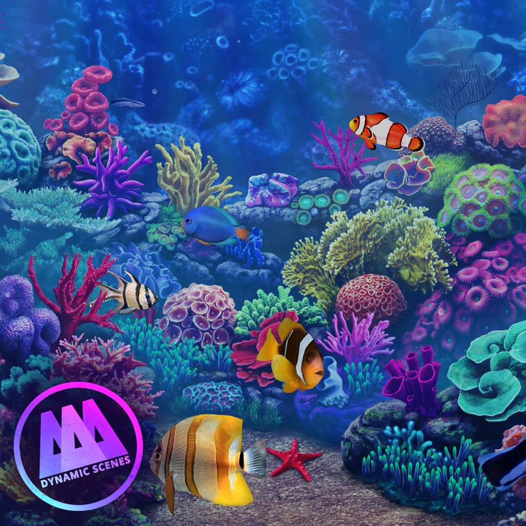 AAA Dynamic Scenes - Amazing Coral Reef Dynamic Scene