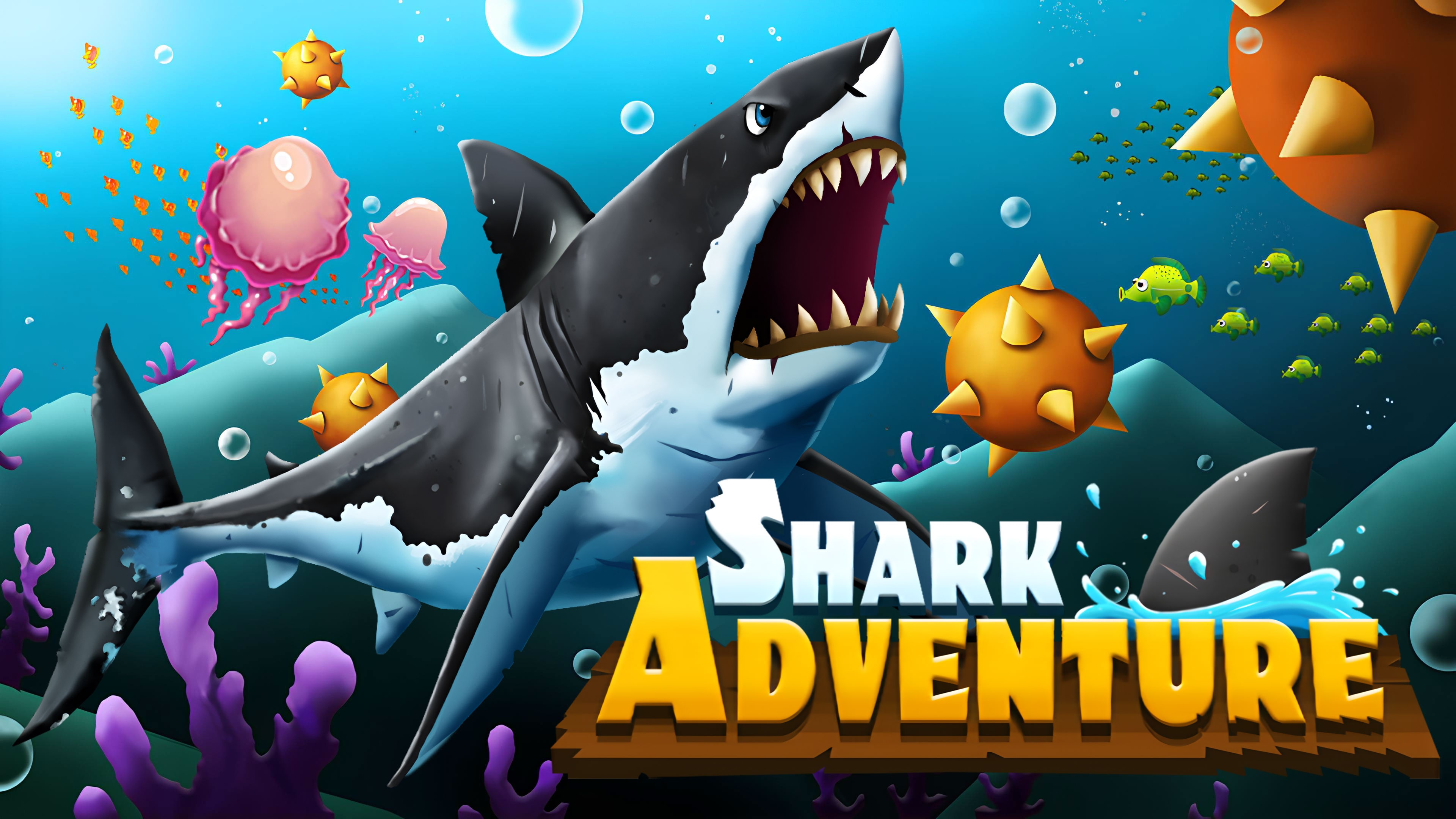 Shark Adventure