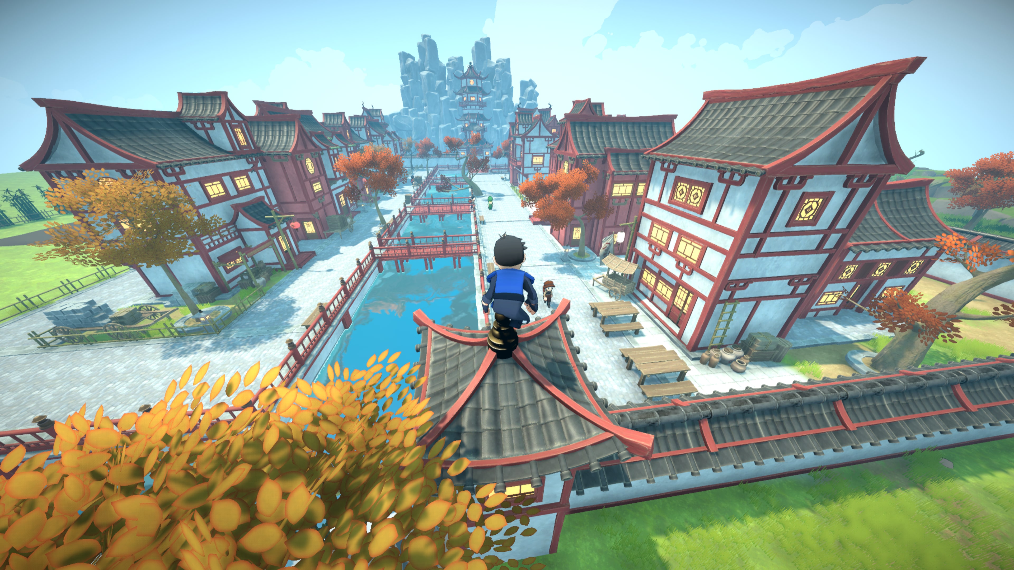 Ninja Town