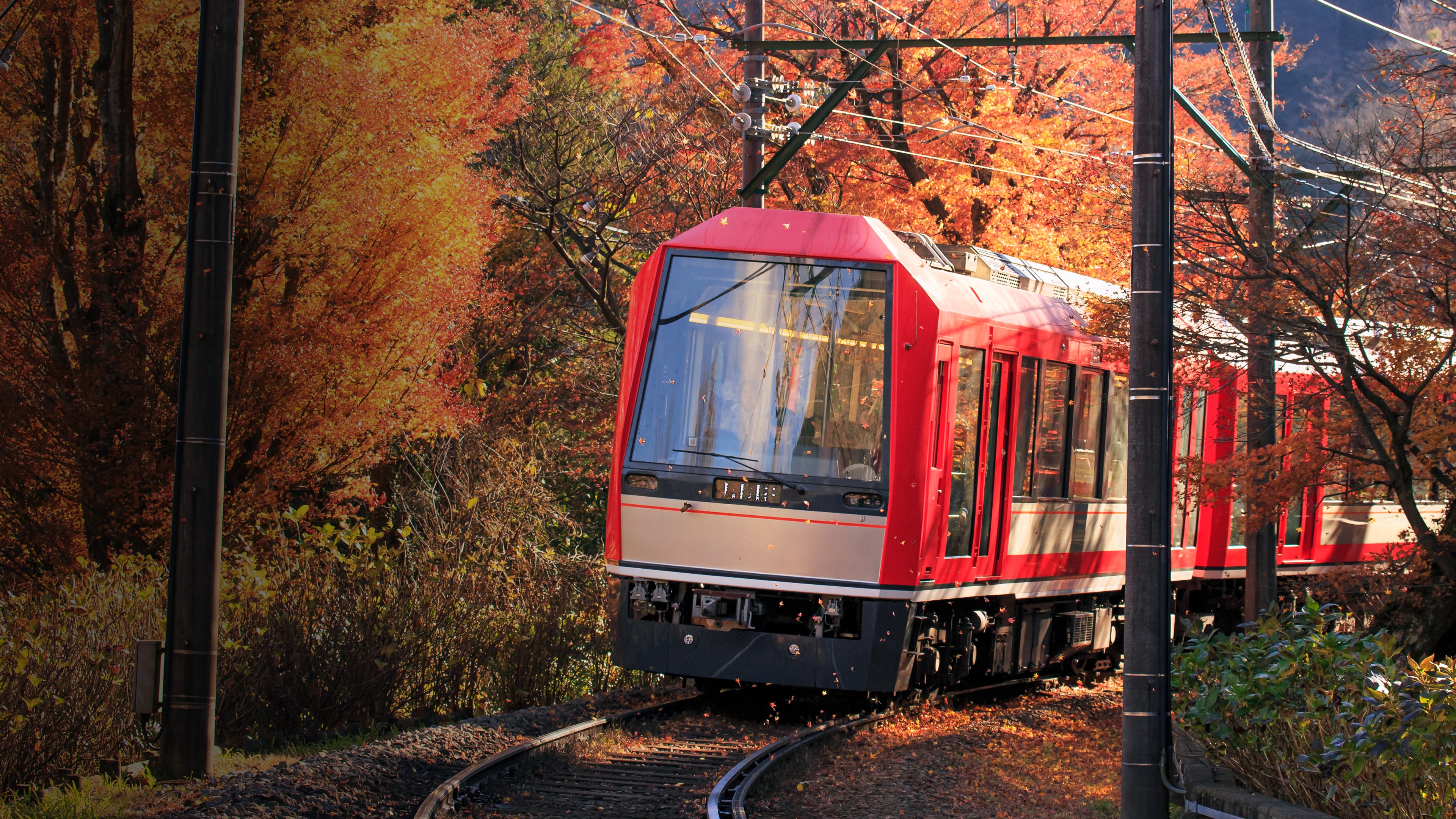 鉄道にっぽん！路線たびEX 登山電車小田急箱根編