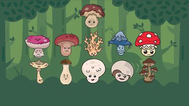 Land of Mushrooms PS4 & PS5 Avatar Edition