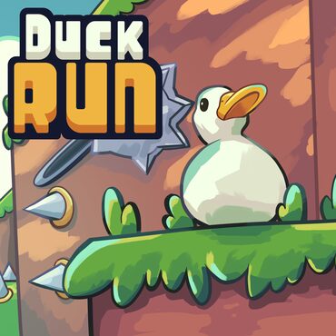 Duck Run cover image
