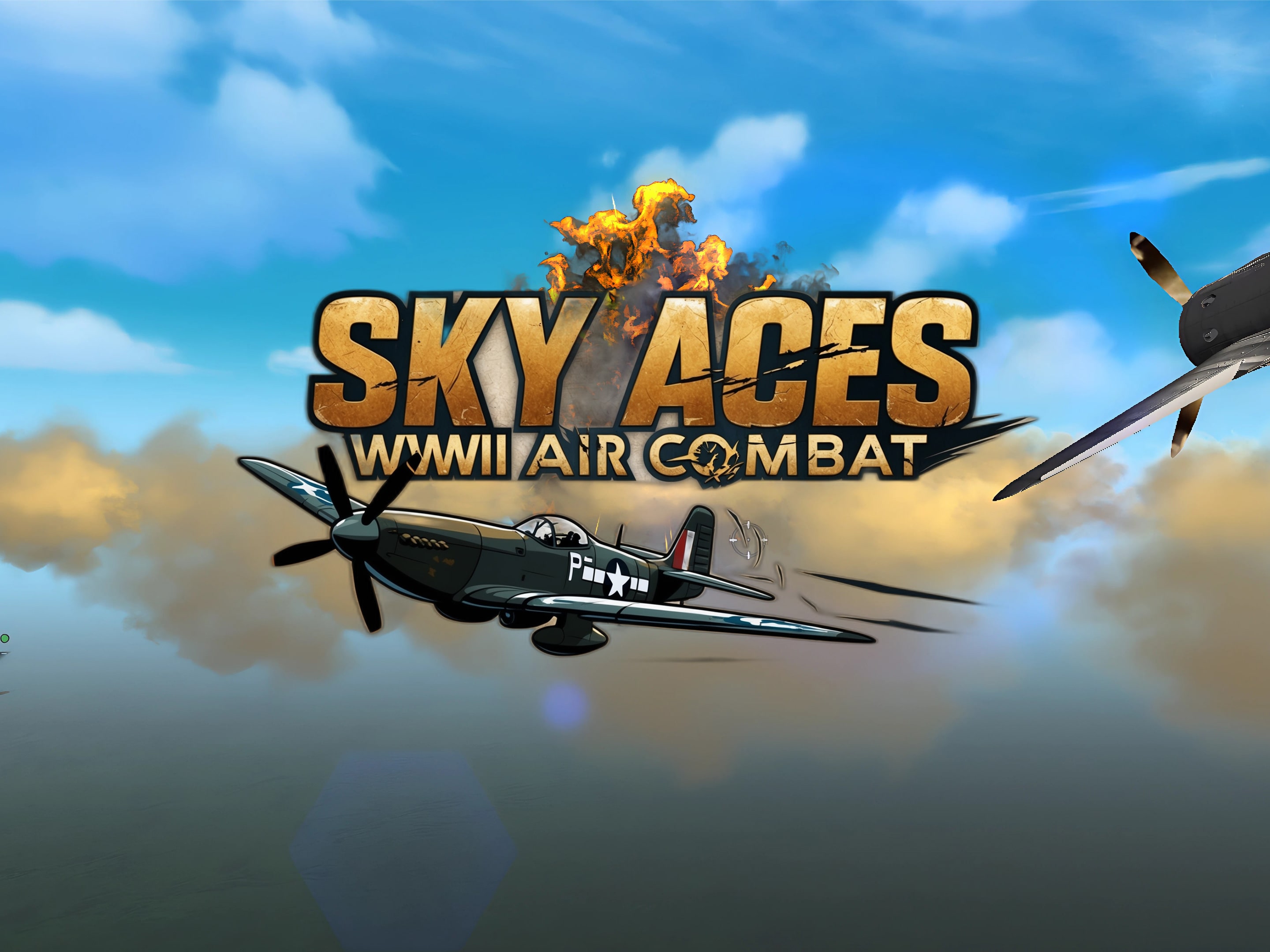 Sky Aces: WWII Air Combat (英文)