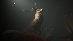 screenshot1