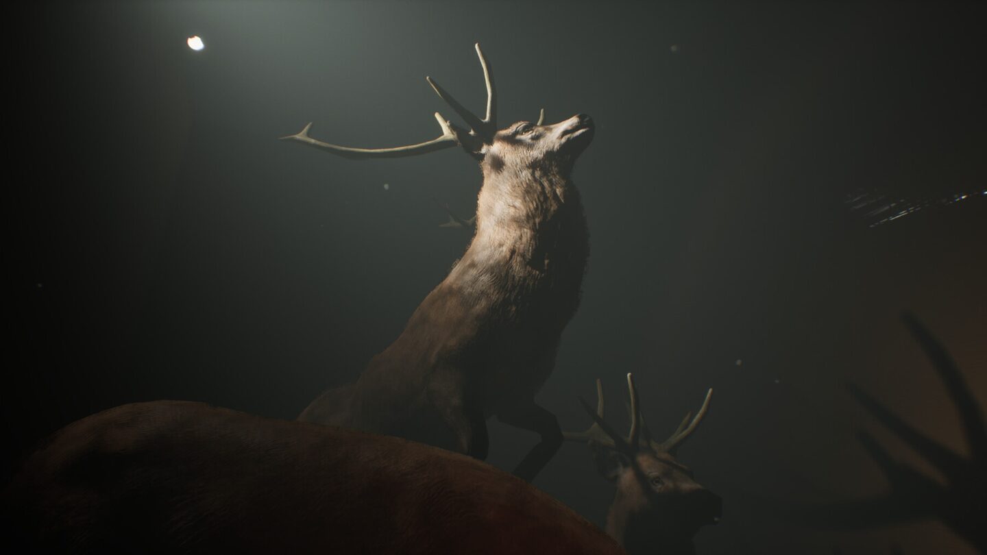 Full Size Image