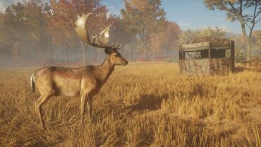 theHunter: Call of the Wild™ - Hunting Starter Pack