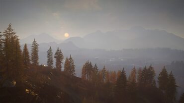 theHunter: Call of the Wild™ - Hunting Starter Pack