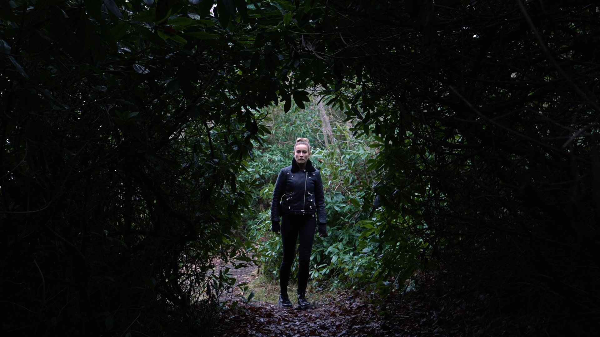 The FMV Collection 4