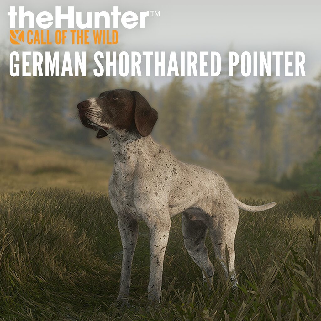 theHunter: Call of the Wild™ - German Shorthaired Pointer