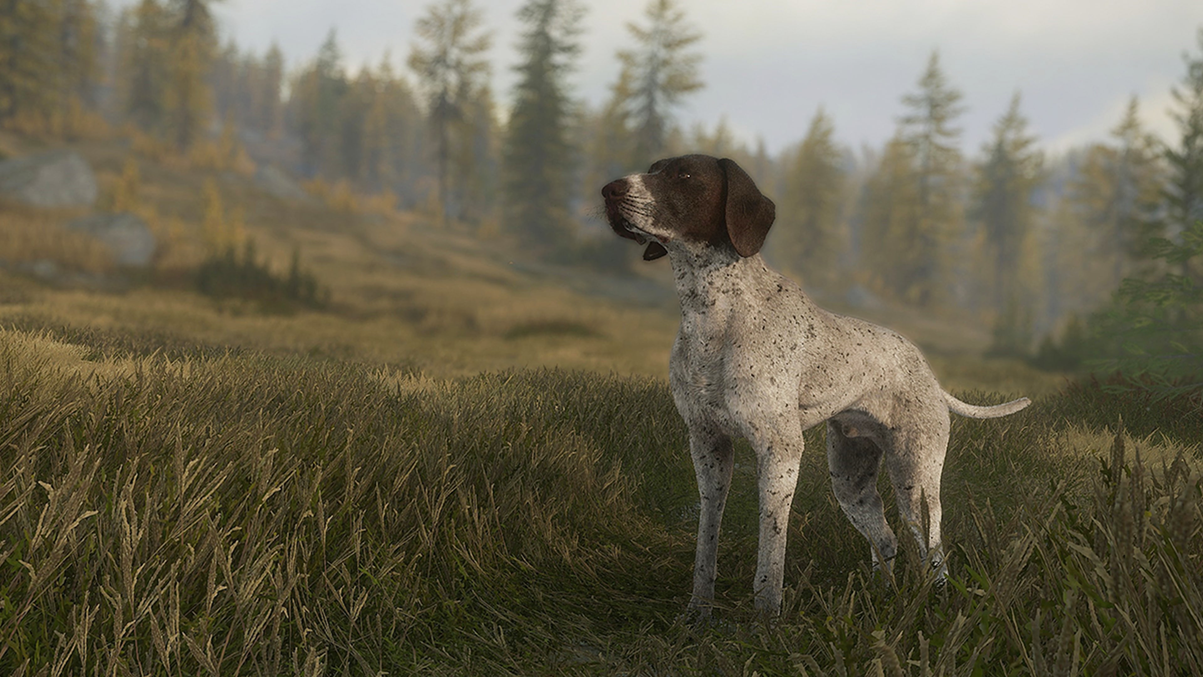 theHunter: Call of the Wild™ - German Shorthaired Pointer