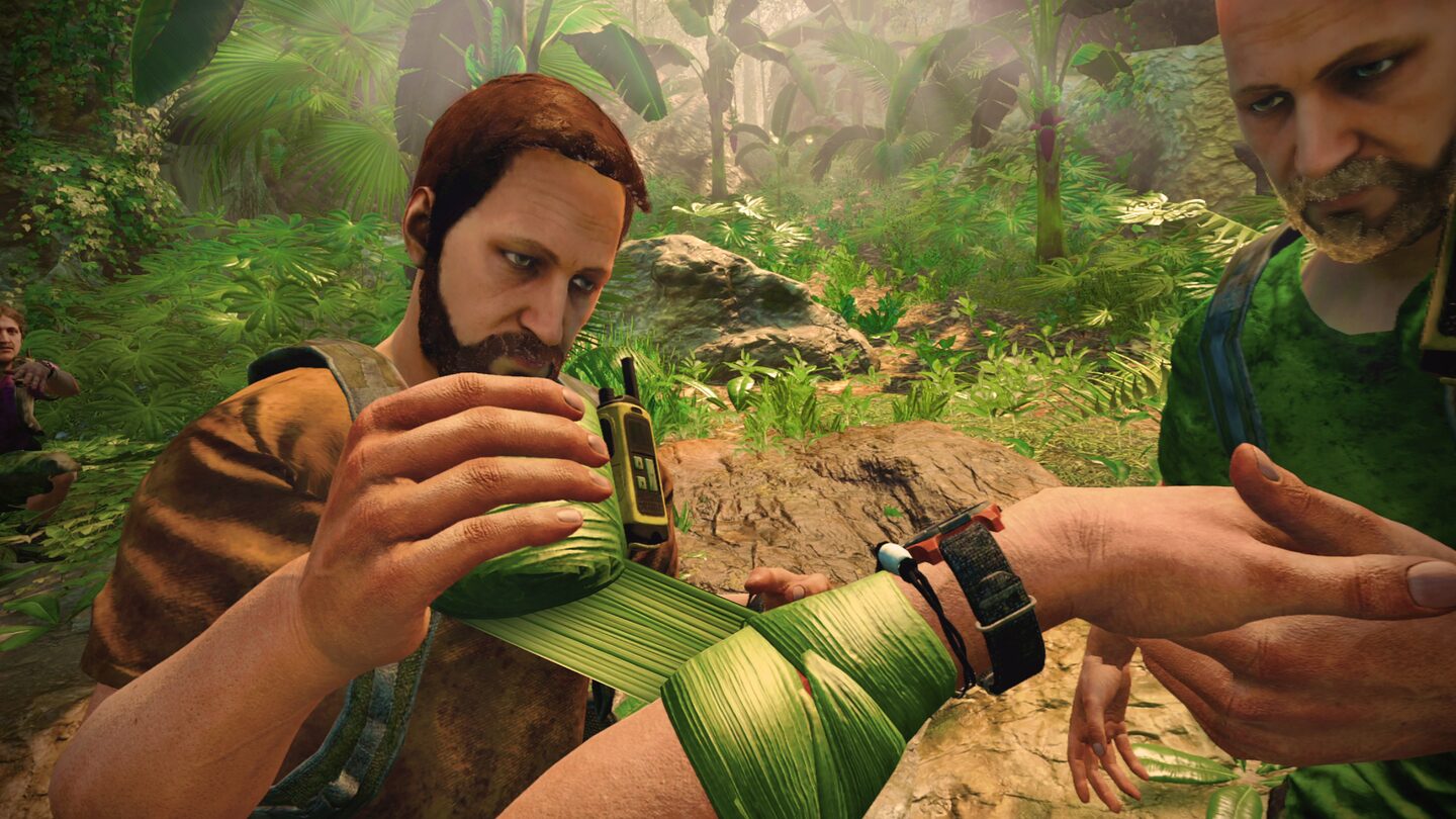 Full Size Image
