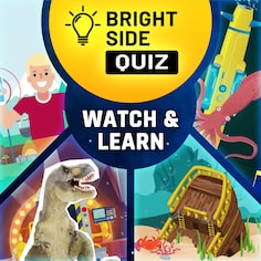 Bright Side: Quiz - Watch & Learn DLC cover image