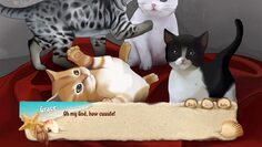 screenshot4