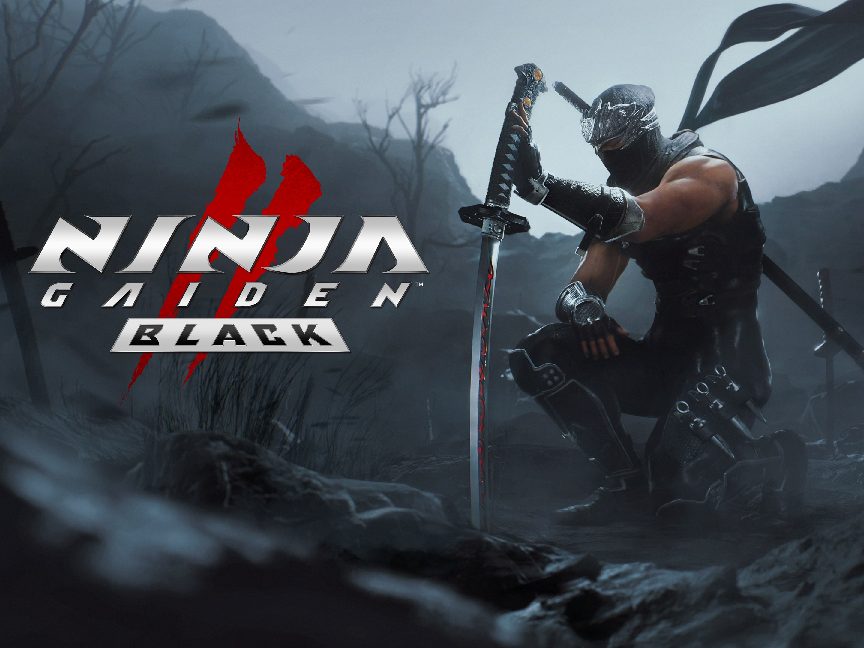 Ninja Gaiden 2 Black